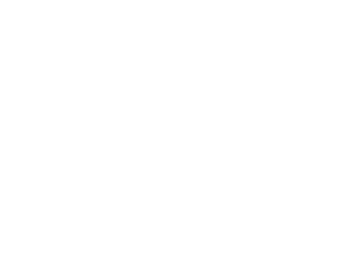 consensys mesh logo