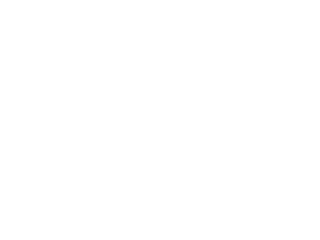 winklevoss capital logo
