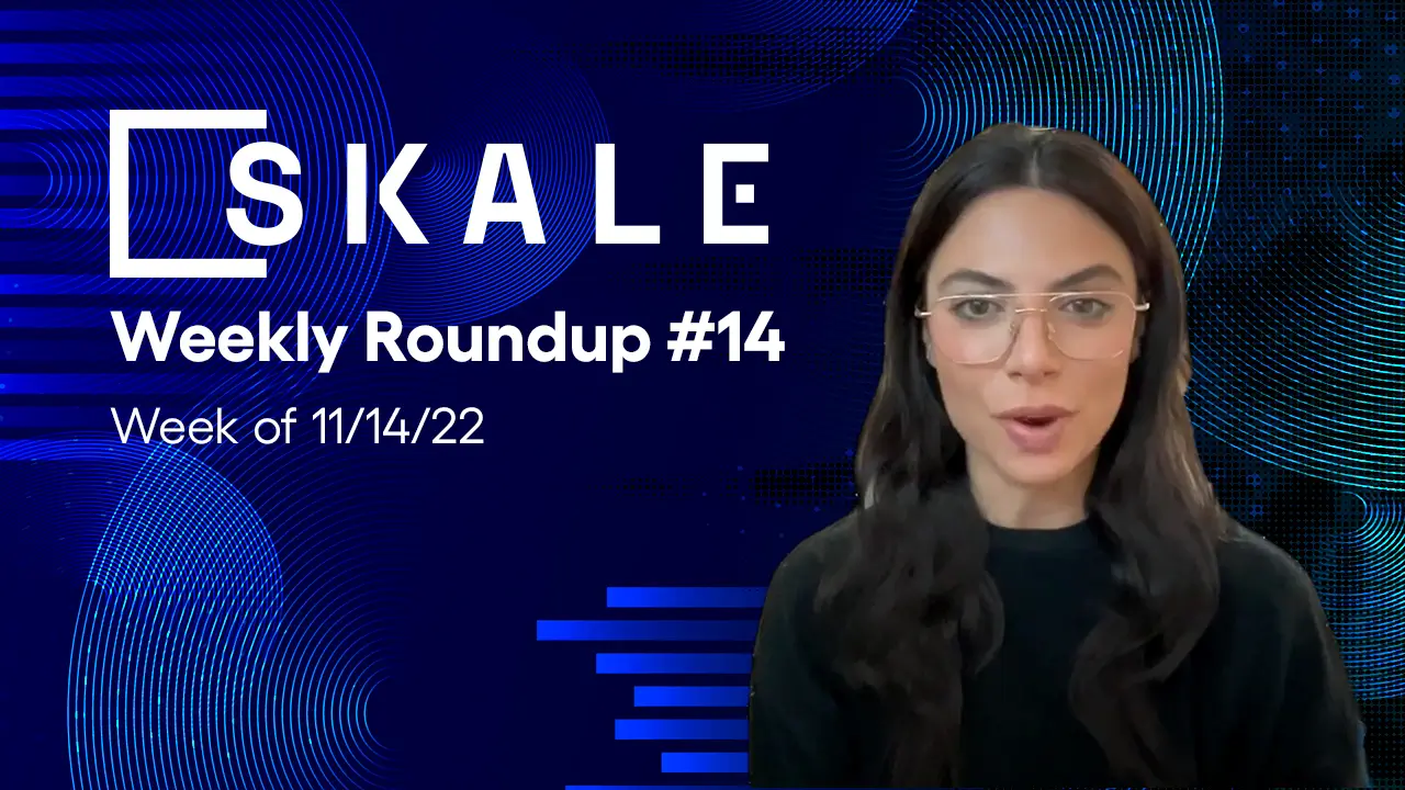 SKALE Weekly Roundup #14: Week of 11/14/22 | SKALE