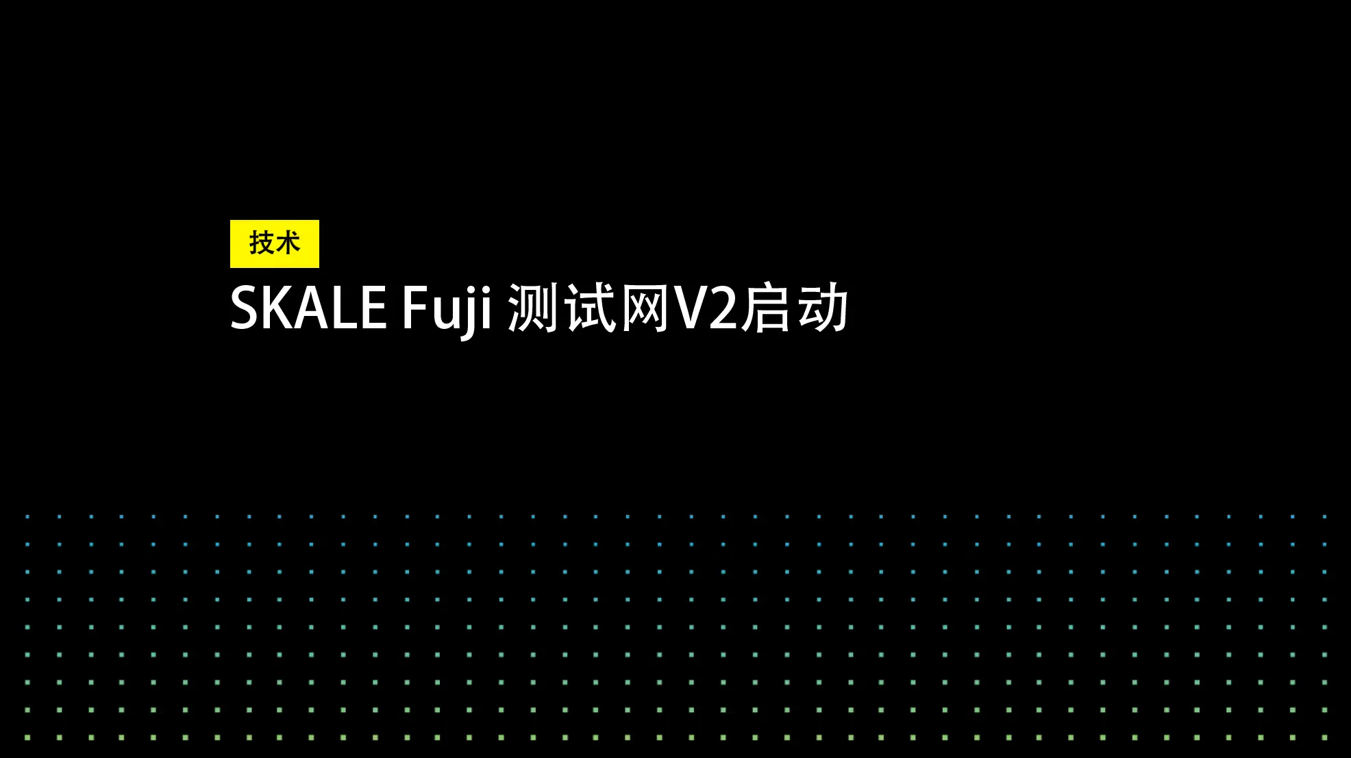 SKALE Fuji 测试网V2启动 | SKALE