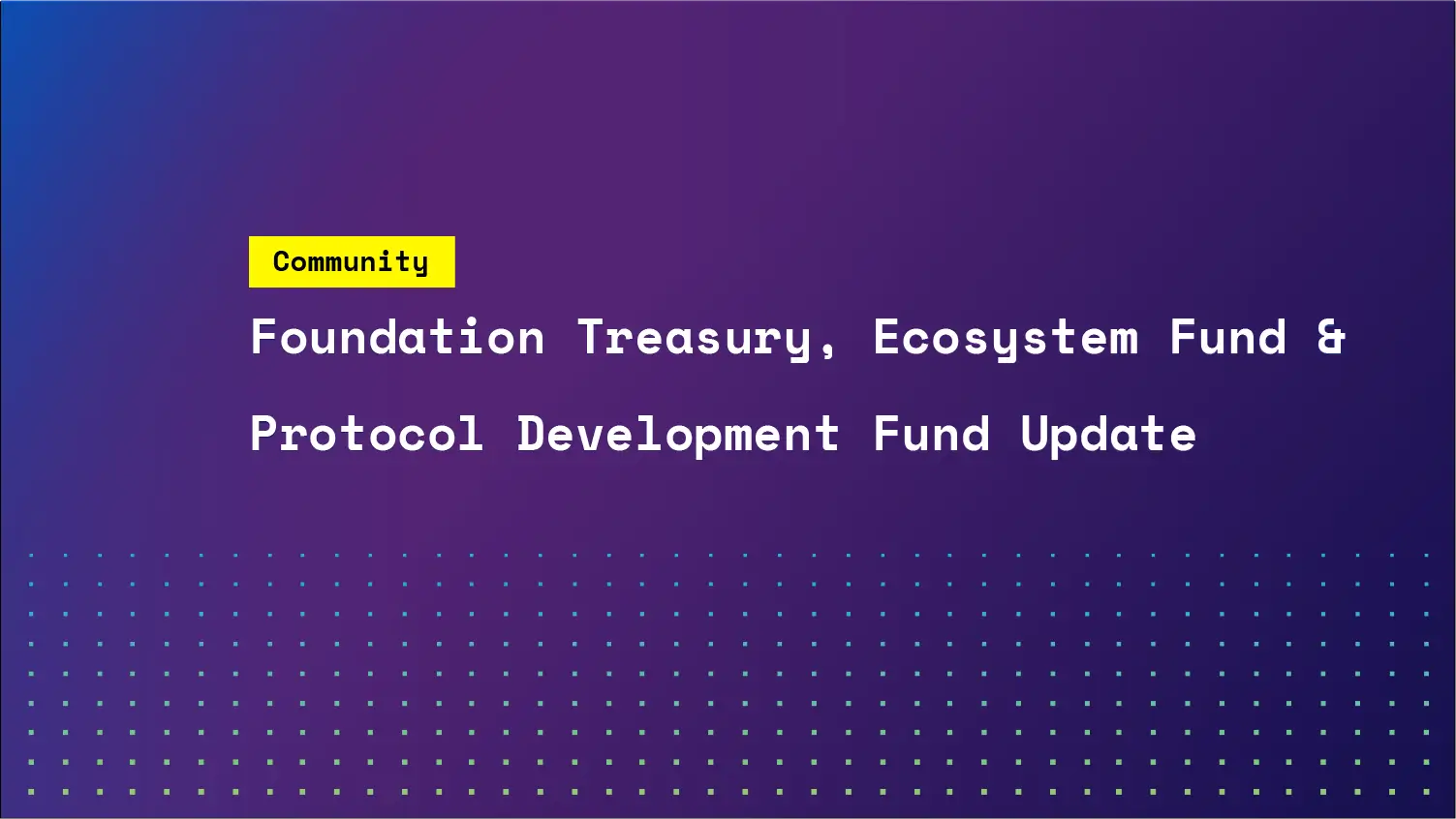 Foundation Treasury, Ecosystem Fund, and Protocol Development Fund Update | SKALE